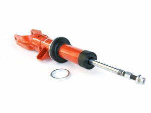 VW Amarok - Front Struts